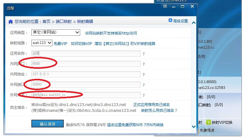 星际蜗牛C款i211网卡服务器（第六篇）服务器搭建映射外网篇一 互联网IT 第19张