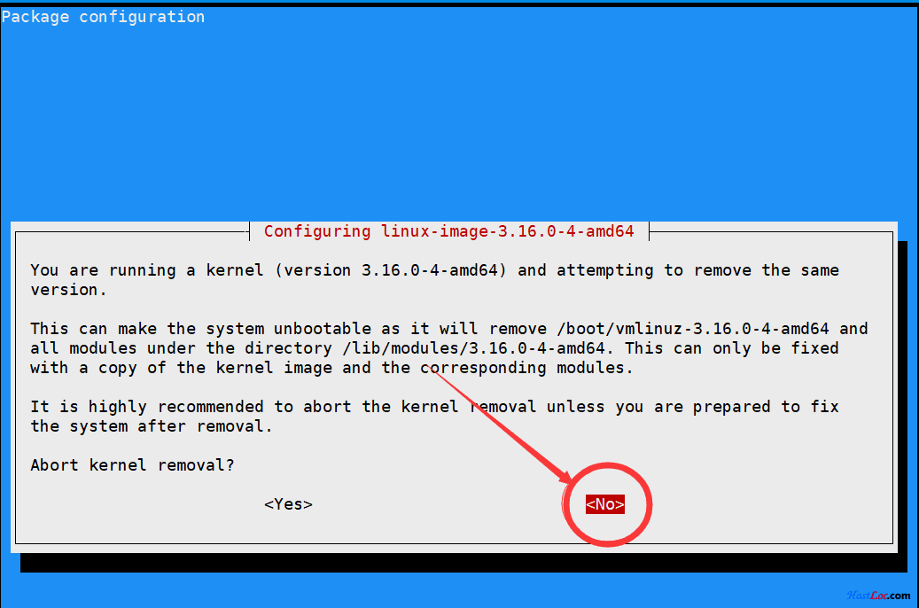 Linux网络优化加速一键脚本BBR、BBR魔改版本加速、BBR plus、锐速加速 互联网IT 第2张