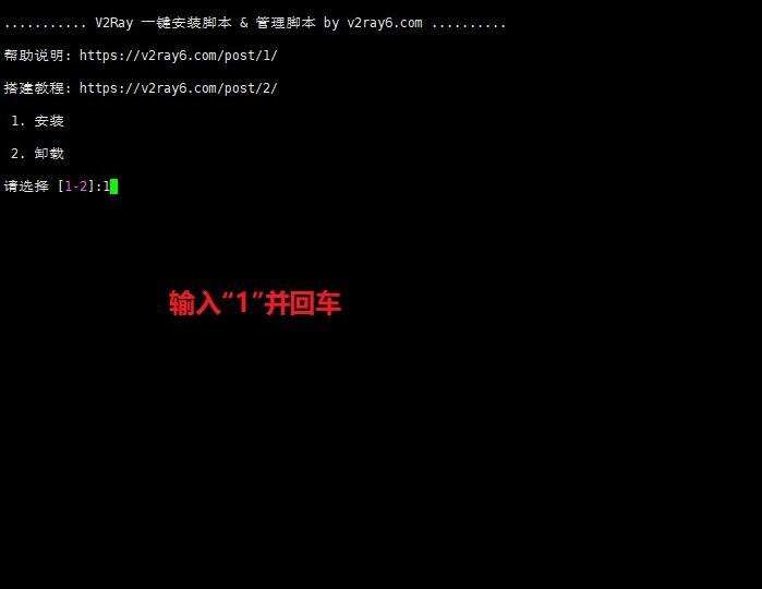 一键V2Ray（v2）搭建详细图文教程Linux系统 互联网IT 第3张