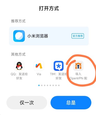 OpenVPN，OpenVPN.APK，OpenVPN客户端，OpenVPN安卓客户端，OpenVPN连接方法，OpenVPN使用教程，OPen vpn，Open客户K 互联网IT 第4张